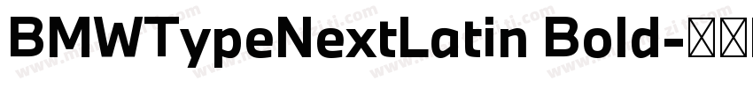 BMWTypeNextLatin Bold字体转换